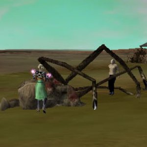 some n00b looking at a spider