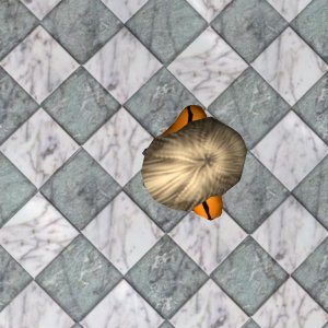 SCREENSHOT_20070527230007015