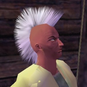tall hair