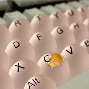 egg