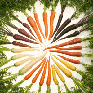 Carrots