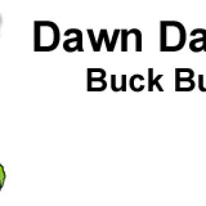Dawn Daemons buck buck stone