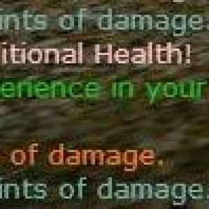 120 HP - Weapons Handling skill