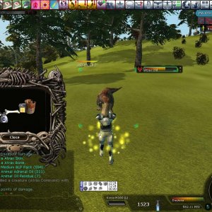 SCREENSHOT_20070803222442218