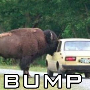 bump