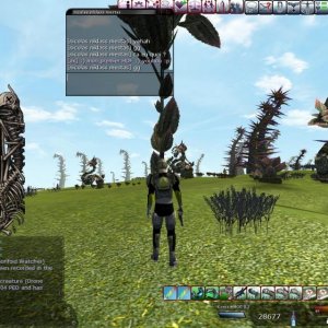 First Hunting HOF