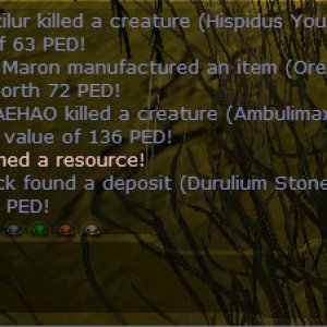 duru132