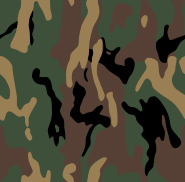 Camo Pattern