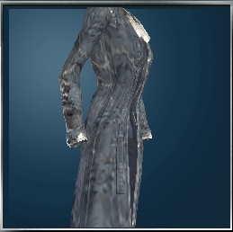 Coat with skins