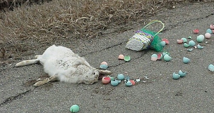 Dead Bunny