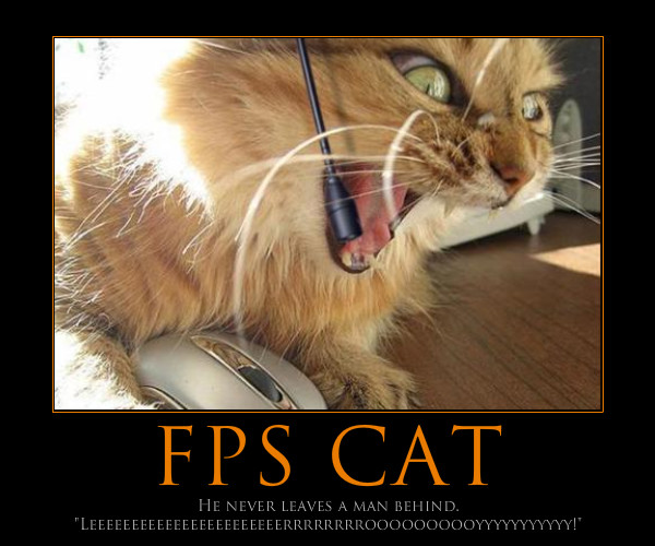 fps cat