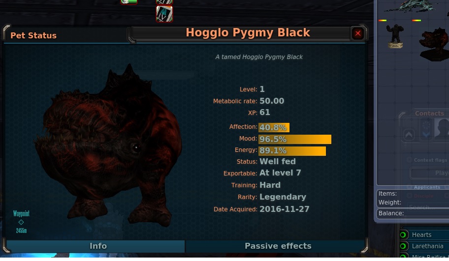 Hogglo Pygmy Black