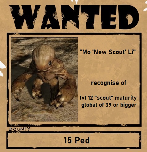 Mo New Scout Li.jpg