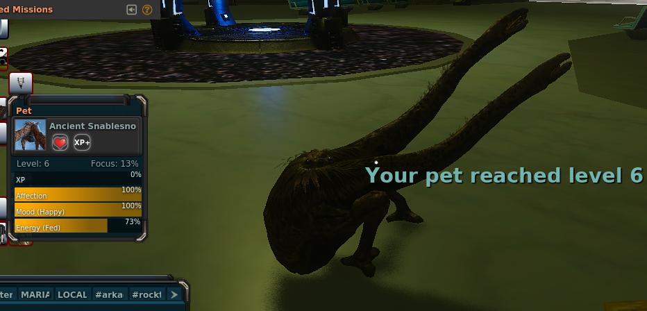 pet