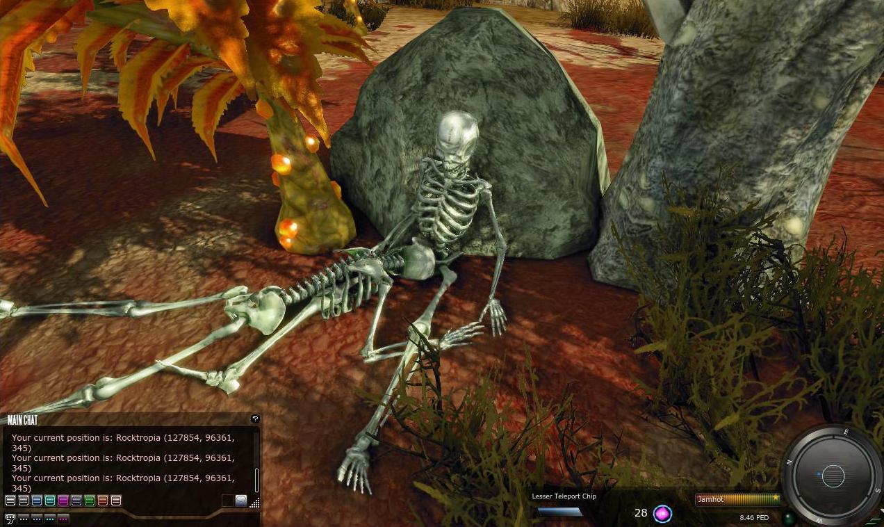 Someone Died Happy On Rocktropia