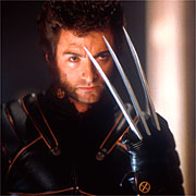 Wolverine