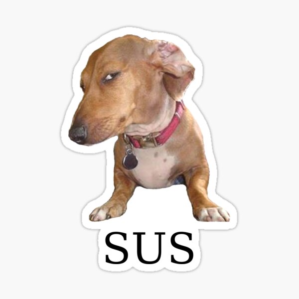 st,small,507x507-pad,600x600,f8f8f8.jpg