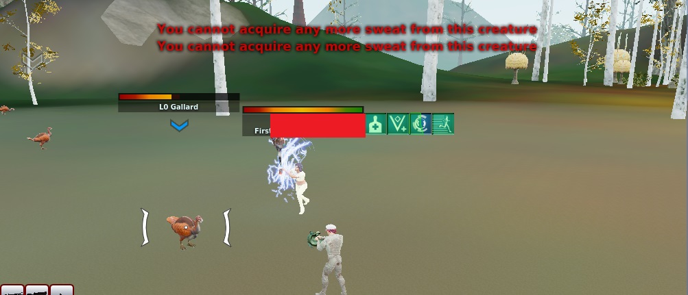 24.jpg