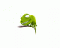 gabryel's Avatar